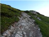 End of road on Pokljuka - Viševnik